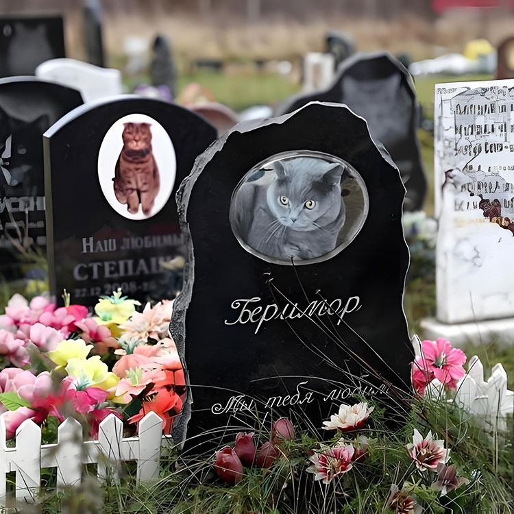 ตัวเลือกการปรับแต่งใดยกโล่อนุสรณ์สัตว์เลี้ยงเกินชื่อพื้นฐาน?